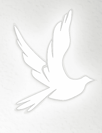 Daniel James MacNeil Obituary
